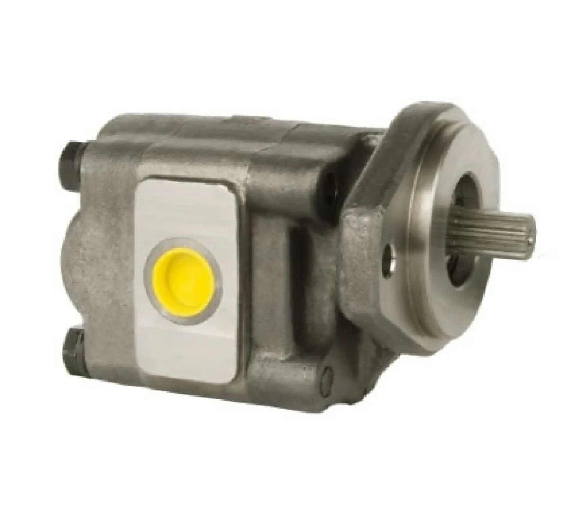 Novo Produto 219